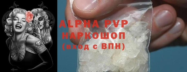 индика Краснотурьинск