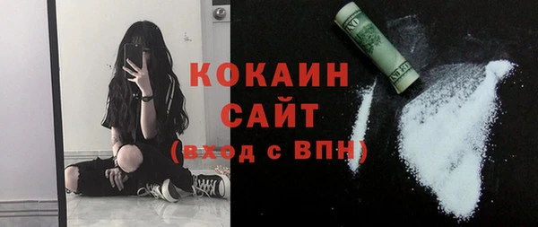 индика Краснотурьинск