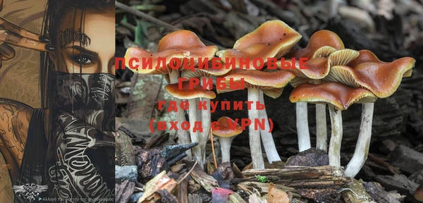 альфа пвп Кулебаки