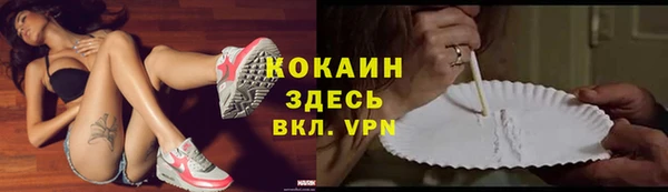 PSILOCYBIN Кукмор