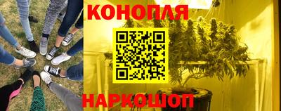 сатива Конаково