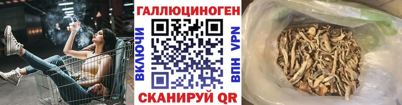 Псилоцибиновые грибы Magic Shrooms  Сухой Лог 