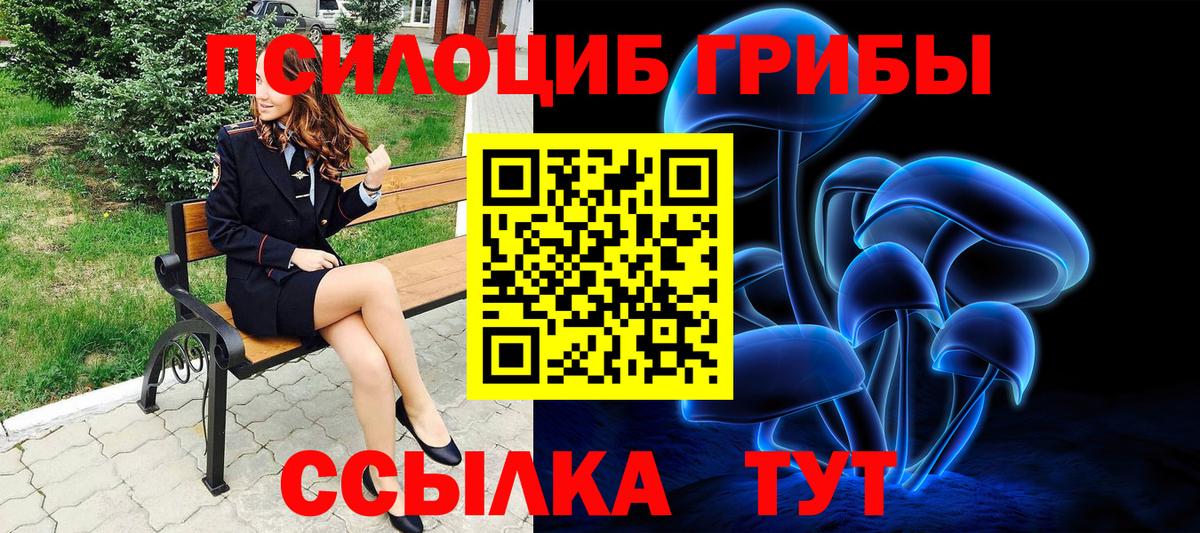 Галлюциногенные грибы мицелий Сухой Лог