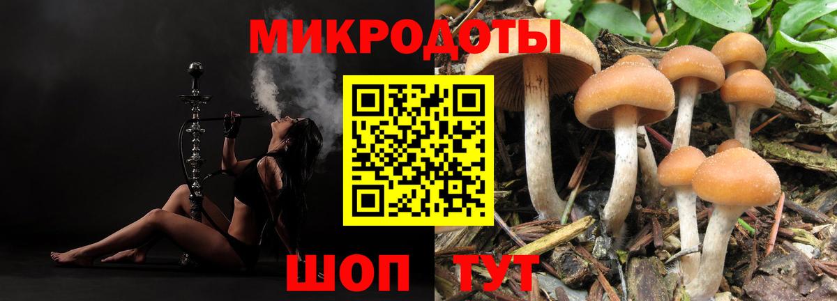 Галлюциногенные грибы MAGIC MUSHROOMS  Вход с VPN  Сухой Лог 